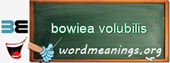 WordMeaning blackboard for bowiea volubilis
